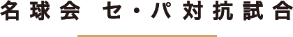 名球会 セ・パ対抗試合